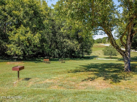 Tiny photo for Marble Bluff, Kingston, TN 37763 (MLS # 1355425)