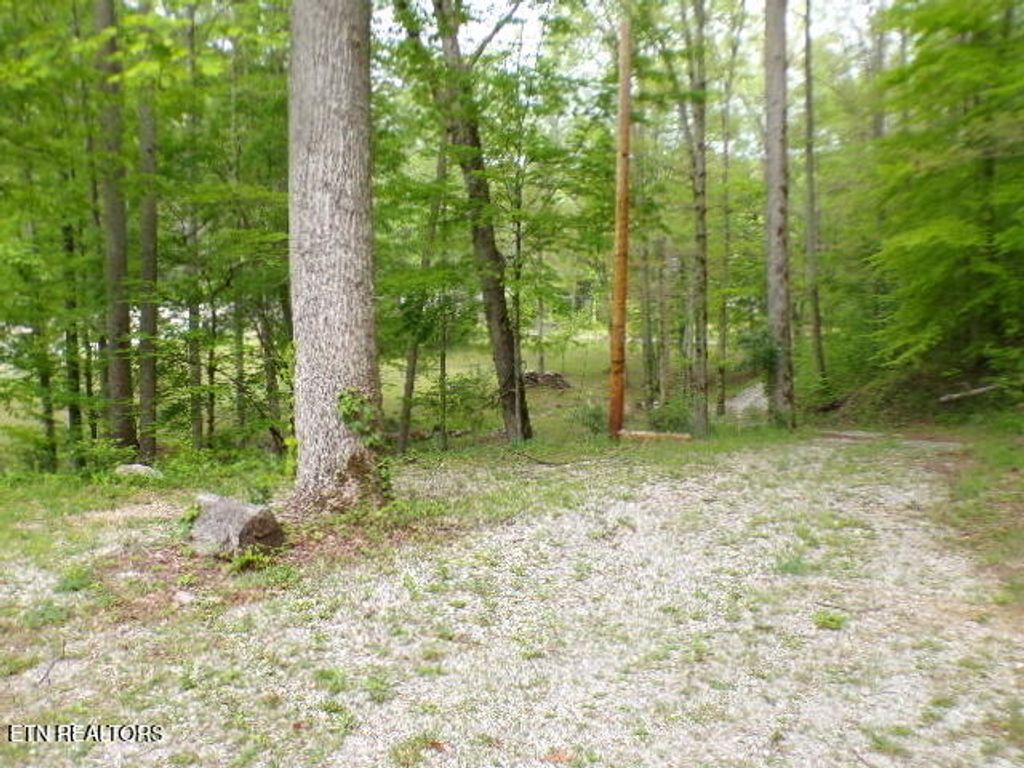Photo of 716 Morgan County Hwy Hwy, Harriman, TN 37748 (MLS # 1299119)