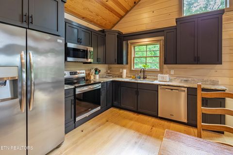 Tiny photo for 4163 Burning Tree Lane, Sevierville, TN 37862 (MLS # 1349627)