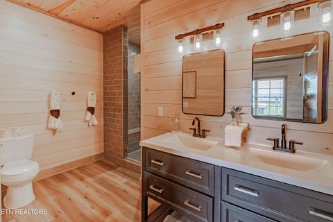 Tiny photo for 4163 Burning Tree Lane, Sevierville, TN 37862 (MLS # 1349627)