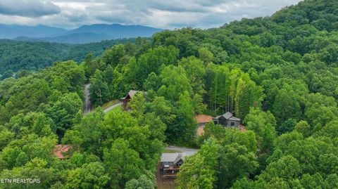 Tiny photo for 4163 Burning Tree Lane, Sevierville, TN 37862 (MLS # 1349627)