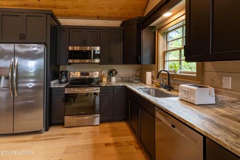 Tiny photo for 4163 Burning Tree Lane, Sevierville, TN 37862 (MLS # 1349627)