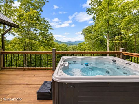 Tiny photo for 4163 Burning Tree Lane, Sevierville, TN 37862 (MLS # 1349627)