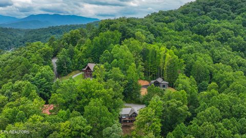 Tiny photo for 4163 Burning Tree Lane, Sevierville, TN 37862 (MLS # 1349627)