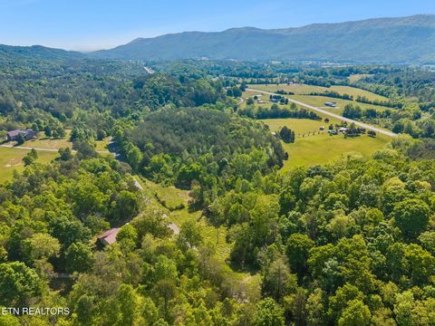 Tiny photo for Co Rd 490, Etowah, TN 37331 (MLS # 1338289)