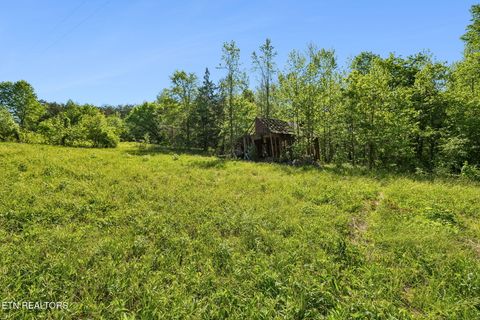Tiny photo for Co Rd 490, Etowah, TN 37331 (MLS # 1338289)