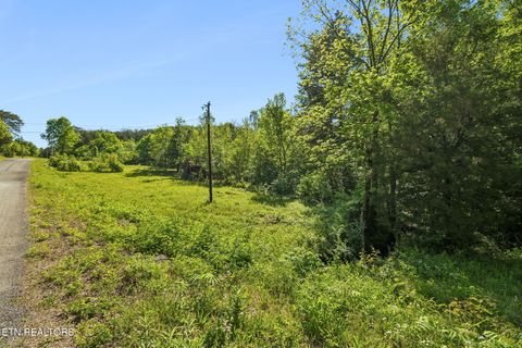 Tiny photo for Co Rd 490, Etowah, TN 37331 (MLS # 1338289)