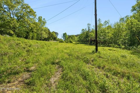 Tiny photo for Co Rd 490, Etowah, TN 37331 (MLS # 1338289)