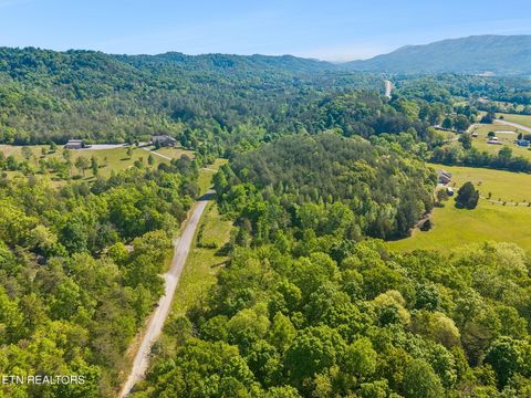 Tiny photo for Co Rd 490, Etowah, TN 37331 (MLS # 1338289)