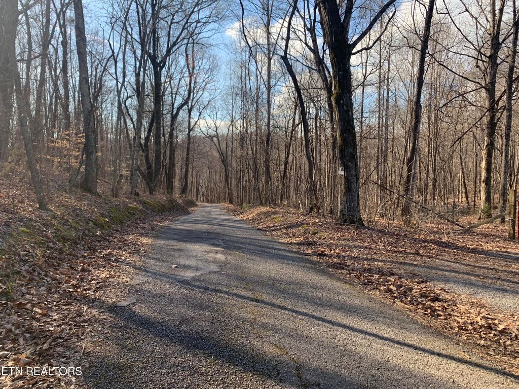 Photo of 1803 Promiseland Rd Rd, Blaine, TN 37709 (MLS # 1239561)