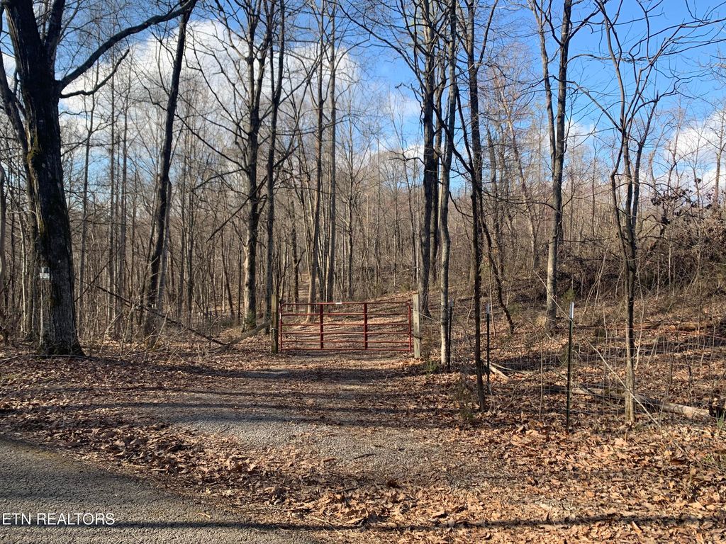 Photo of 1803 Promiseland Rd Rd, Blaine, TN 37709 (MLS # 1239561)