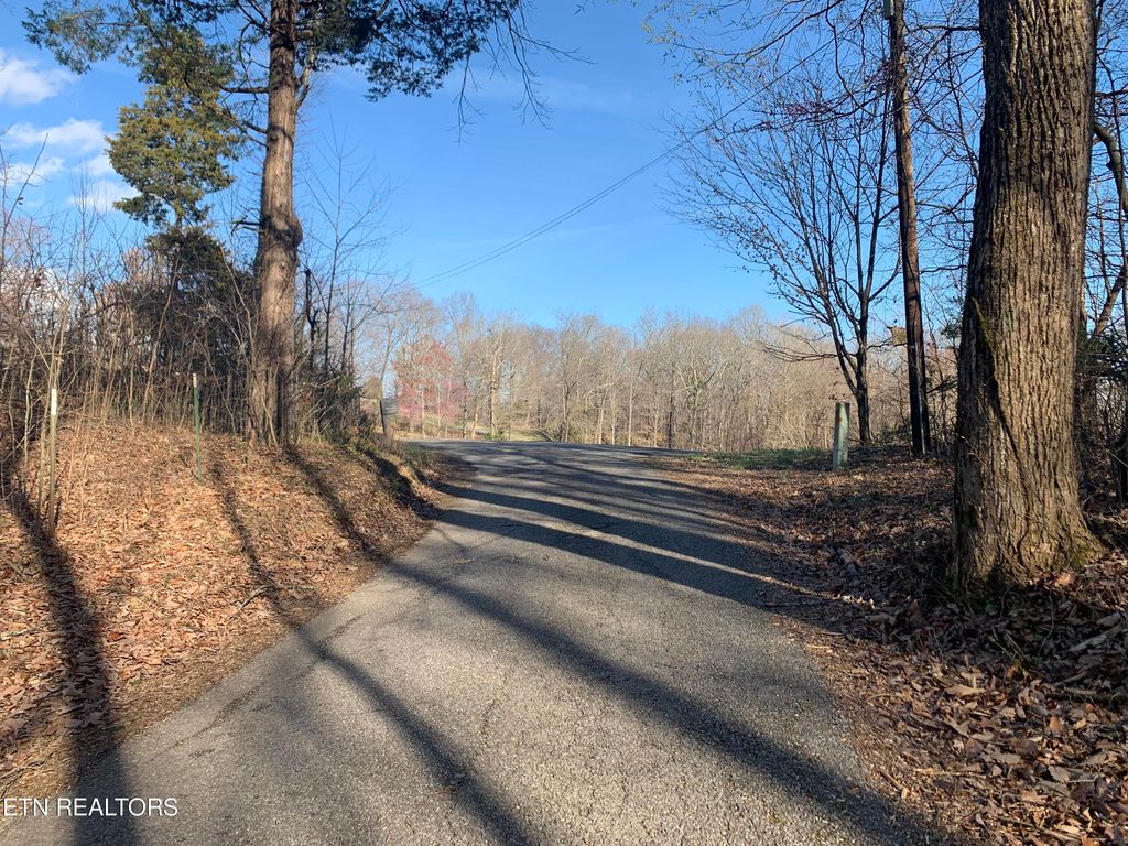 Photo of 1803 Promiseland Rd Rd, Blaine, TN 37709 (MLS # 1239561)