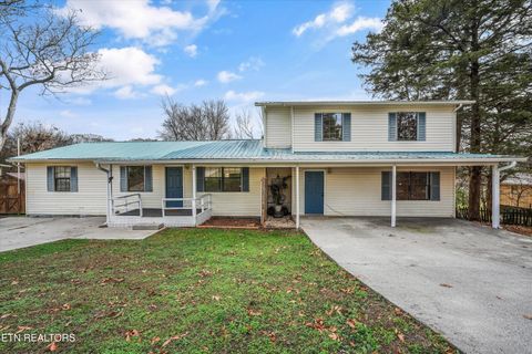 126 County Road 78 Riceville TN 37370