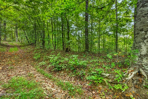Tiny photo for 31 Timber Ridge Lane, Celina, TN 38551 (MLS # 1357282)