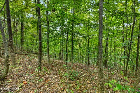 Tiny photo for 31 Timber Ridge Lane, Celina, TN 38551 (MLS # 1357282)