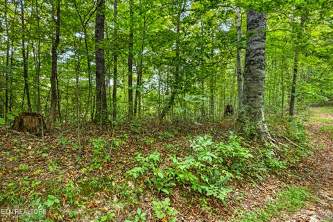 Tiny photo for 31 Timber Ridge Lane, Celina, TN 38551 (MLS # 1357282)