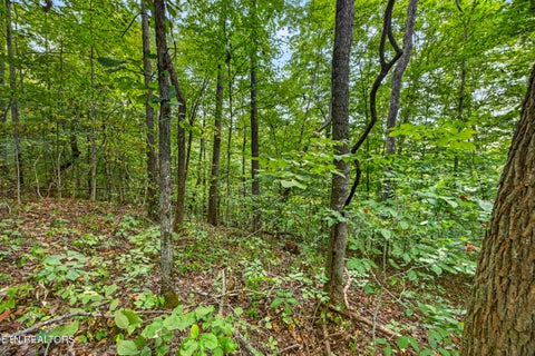 Tiny photo for 31 Timber Ridge Lane, Celina, TN 38551 (MLS # 1357282)