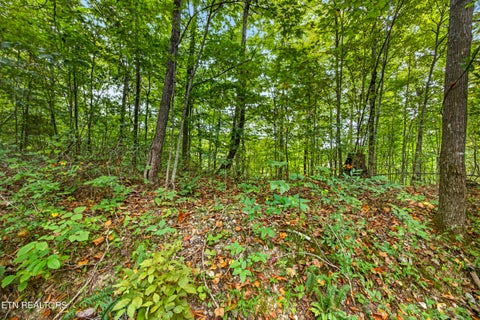 Tiny photo for 31 Timber Ridge Lane, Celina, TN 38551 (MLS # 1357282)