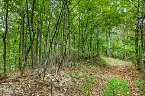Tiny photo for 31 Timber Ridge Lane, Celina, TN 38551 (MLS # 1357282)
