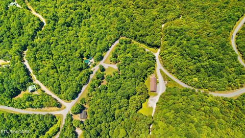 Tiny photo for Clinch View Rd #209, New Tazewell, TN 37825 (MLS # 1344043)