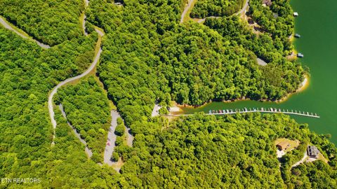 Tiny photo for Clinch View Rd #209, New Tazewell, TN 37825 (MLS # 1344043)