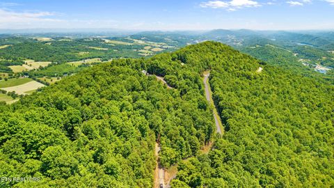 Tiny photo for Clinch View Rd #209, New Tazewell, TN 37825 (MLS # 1344043)