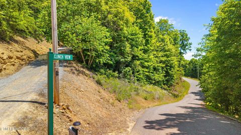 Tiny photo for Clinch View Rd #209, New Tazewell, TN 37825 (MLS # 1344043)