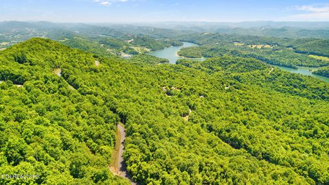 Tiny photo for Clinch View Rd #209, New Tazewell, TN 37825 (MLS # 1344043)