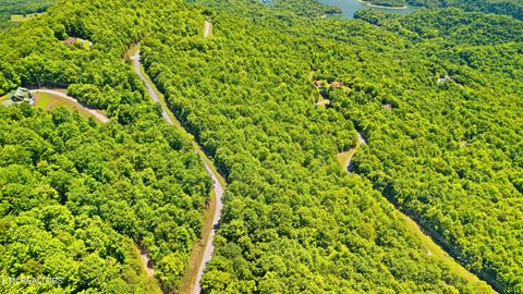Tiny photo for Clinch View Rd #209, New Tazewell, TN 37825 (MLS # 1344043)