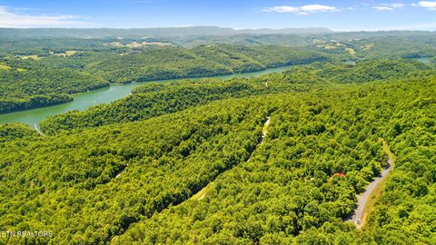 Tiny photo for Clinch View Rd #209, New Tazewell, TN 37825 (MLS # 1344043)