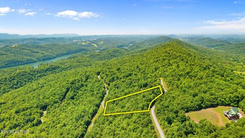 Tiny photo for Clinch View Rd #209, New Tazewell, TN 37825 (MLS # 1344043)