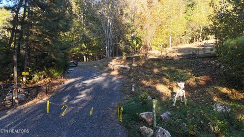 Tiny photo for 000 Geren Subdivision Lane, Decatur, TN 37322 (MLS # 1319402)