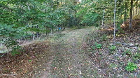 Tiny photo for 000 Geren Subdivision Lane, Decatur, TN 37322 (MLS # 1319402)