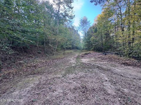 Tiny photo for 000 Geren Subdivision Lane, Decatur, TN 37322 (MLS # 1319402)