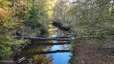 Tiny photo for 000 Geren Subdivision Lane, Decatur, TN 37322 (MLS # 1319402)