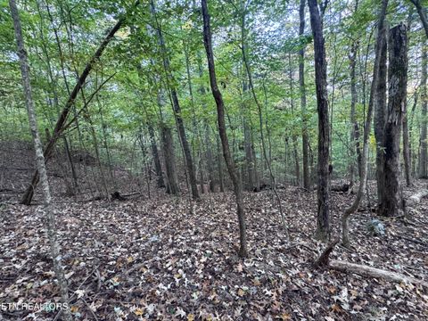 Photo of 000 Geren Subdivision Lane, Decatur, TN 37322 (MLS # 1319402)