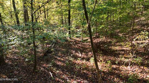 Tiny photo for 000 Geren Subdivision Lane, Decatur, TN 37322 (MLS # 1319402)