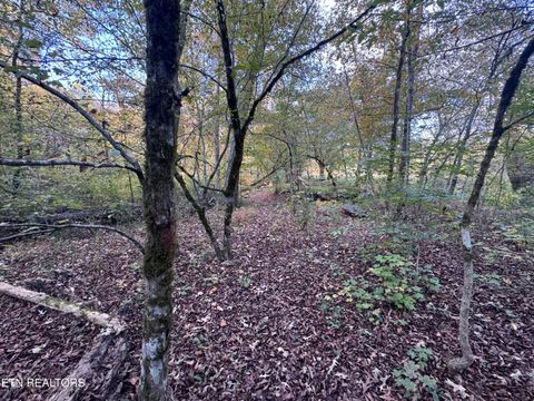 Tiny photo for 000 Geren Subdivision Lane, Decatur, TN 37322 (MLS # 1319402)