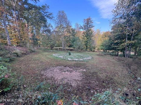 Tiny photo for 000 Geren Subdivision Lane, Decatur, TN 37322 (MLS # 1319402)