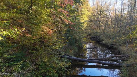 Tiny photo for 000 Geren Subdivision Lane, Decatur, TN 37322 (MLS # 1319402)