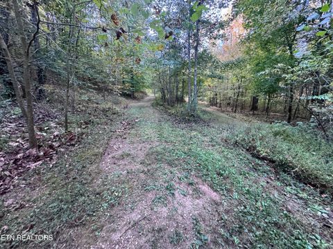 Tiny photo for 000 Geren Subdivision Lane, Decatur, TN 37322 (MLS # 1319402)