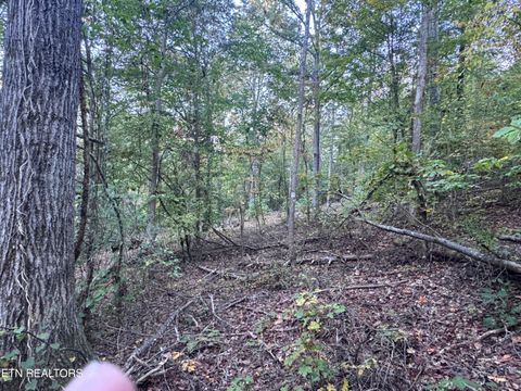 Tiny photo for 000 Geren Subdivision Lane, Decatur, TN 37322 (MLS # 1319402)