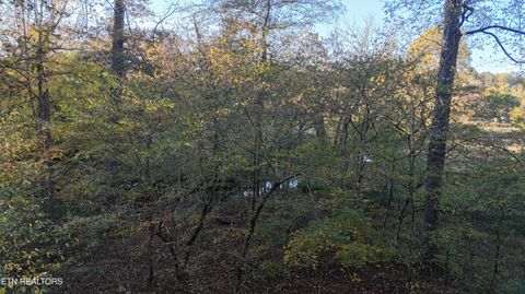 Tiny photo for 000 Geren Subdivision Lane, Decatur, TN 37322 (MLS # 1319402)