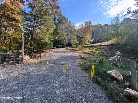 Tiny photo for 000 Geren Subdivision Lane, Decatur, TN 37322 (MLS # 1319402)