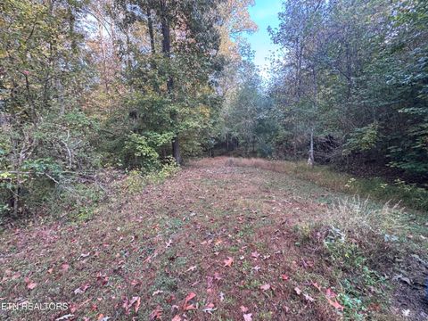 Tiny photo for 000 Geren Subdivision Lane, Decatur, TN 37322 (MLS # 1319402)