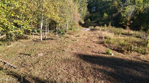 Tiny photo for 000 Geren Subdivision Lane, Decatur, TN 37322 (MLS # 1319402)