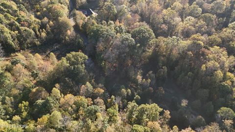 Tiny photo for 000 Geren Subdivision Lane, Decatur, TN 37322 (MLS # 1319402)