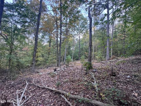 Tiny photo for 000 Geren Subdivision Lane, Decatur, TN 37322 (MLS # 1319402)