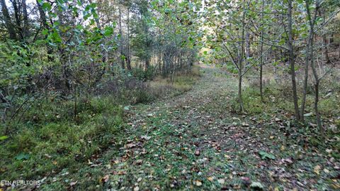 Tiny photo for 000 Geren Subdivision Lane, Decatur, TN 37322 (MLS # 1319402)