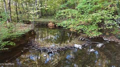 Tiny photo for 000 Geren Subdivision Lane, Decatur, TN 37322 (MLS # 1319402)